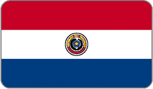 Paraguay Flag